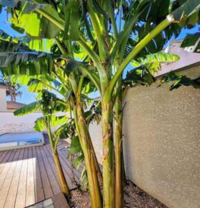 Jolie Maison Jardin Piscine Narbonne Exterior foto
